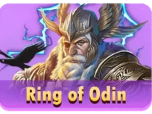 Ring Of Odin screenshot